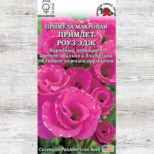 Примула Примлет Роуз Эдж изображение 1 артикул 83710