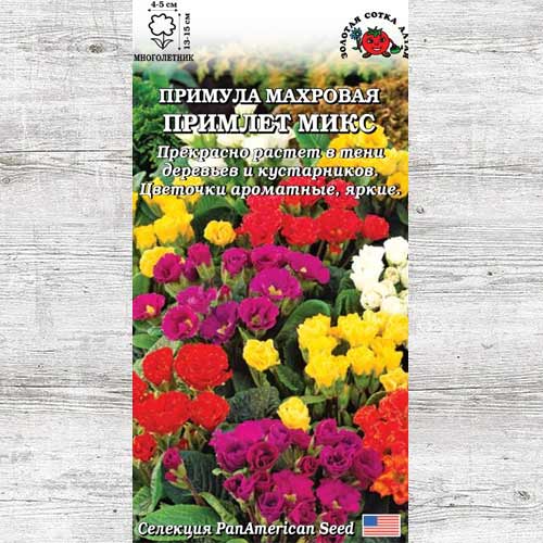 Примула Примлет, смесь окрасок изображение 1 артикул 83711