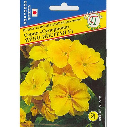 Примула Розанна желтая F1 Престиж изображение 1 артикул 65899