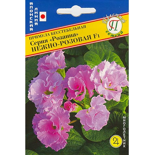 Примула Розанна нежно-розовая F1 Престиж изображение 1 артикул 84540