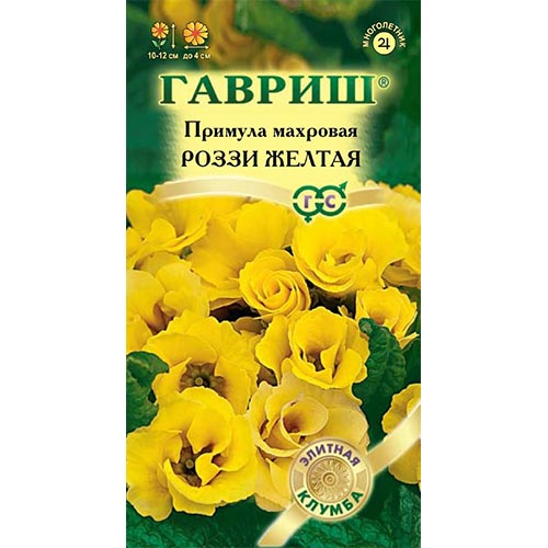 Примула Роззи желтая Гавриш изображение 1 артикул 92207