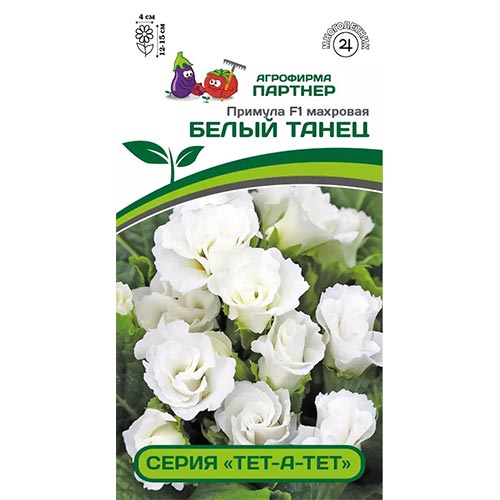 Примула Тет-А-Тет Белый танец F1 Партнер изображение 1 артикул 92702