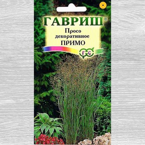 Просо декоративное Примо Гавриш изображение 1 артикул 73903