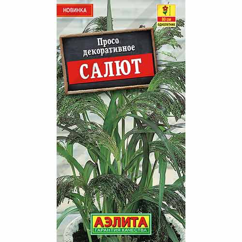 Просо декоративное Салют Аэлита изображение 1 артикул 99144