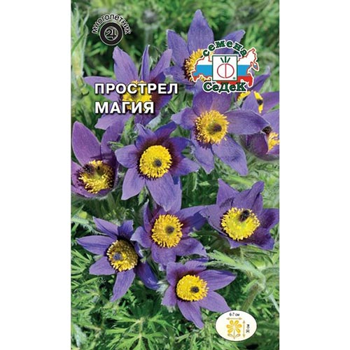 Прострел Магия Седек изображение 1 артикул 93960