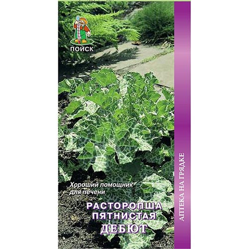 Расторопша Дебют Поиск изображение 1 артикул 92796