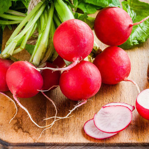 Редис 15 дней Premium Seeds изображение 1 артикул 83812
