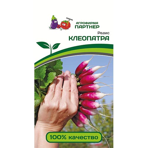 Редис Клеопатра Партнер изображение 1 артикул 92678