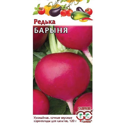 Редька китайская Барыня Гавриш изображение 1 артикул 91807