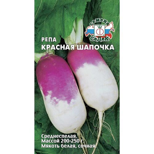 Репа Красная шапочка Седек изображение 1 артикул 93523