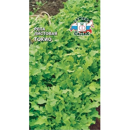 Репа листовая Токио Седек изображение 1 артикул 93527