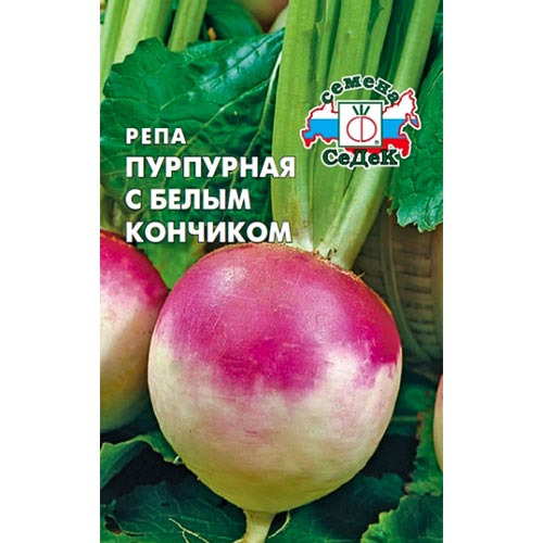 Репа Пурпурная с белым кончиком Седек изображение 1 артикул 93524