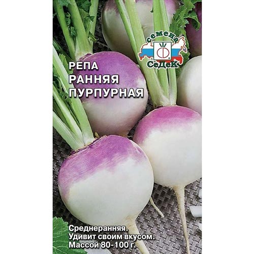 Репа Ранняя пурпурная Седек изображение 1 артикул 93525
