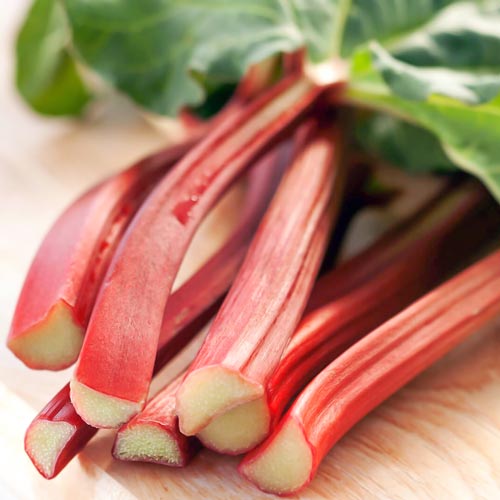 Ревень Компотный артикул фото 1 Ревень Компотный изображение 1 артикул 71667