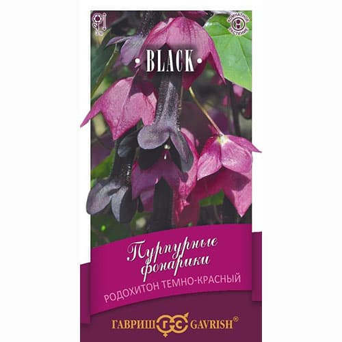 Родохитон Пурпурные фонарики Гавриш изображение 1 артикул 74959