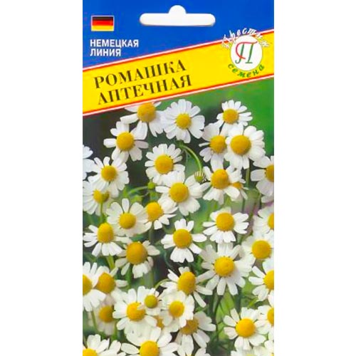 Ромашка аптечная Престиж изображение 1 артикул 93222