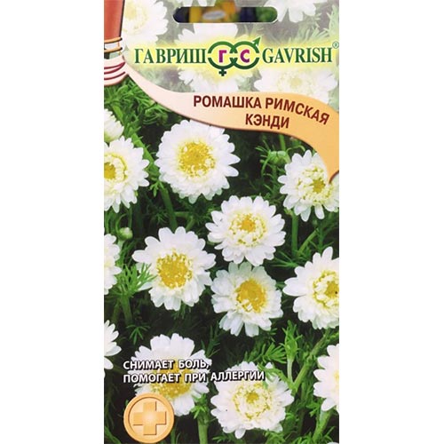 Ромашка аптечная Пупавник благородный Кэнди Гавриш изображение 1 артикул 91815