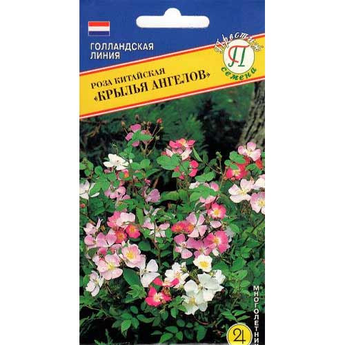Роза китайская Крылья Ангелов Престиж изображение 1 артикул 71579