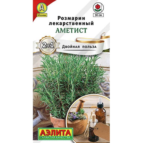 Розмарин Аметист Аэлита изображение 1 артикул 98519