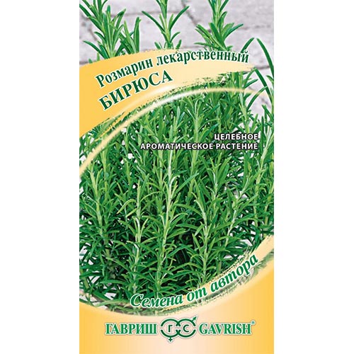 Розмарин Бирюса Гавриш изображение 1 артикул 91814
