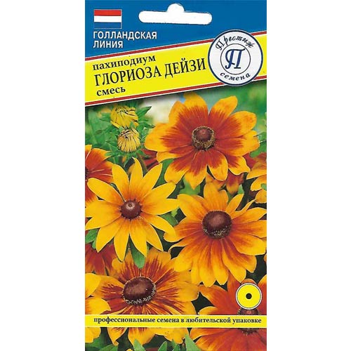 Рудбекия Глориоза Дейзи, смесь окрасок Престиж артикул фото 1 Рудбекия Глориоза Дейзи, смесь окрасок Престиж изображение 1 артикул 85446