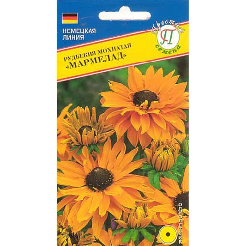 Рудбекия мохнатая Мармелад Престиж изображение 1 артикул 81406