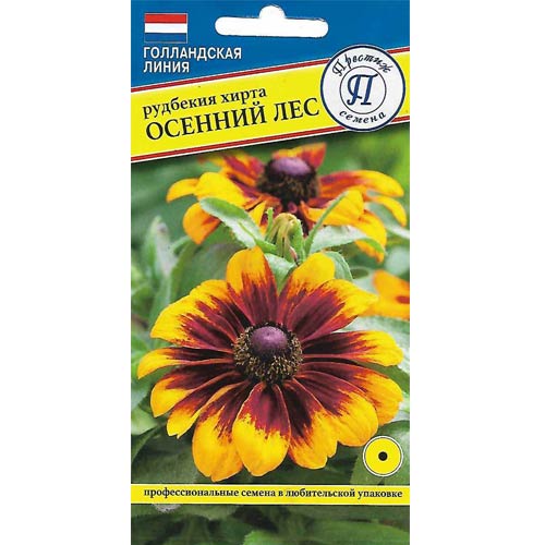 Рудбекия Осенний лес Престиж изображение 1 артикул 85447
