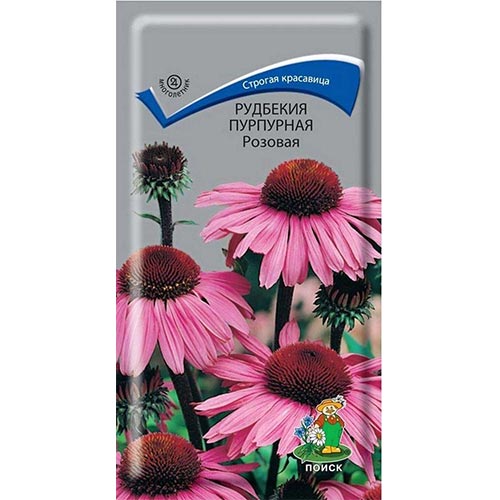 Рудбекия Розовая Поиск изображение 1 артикул 93107
