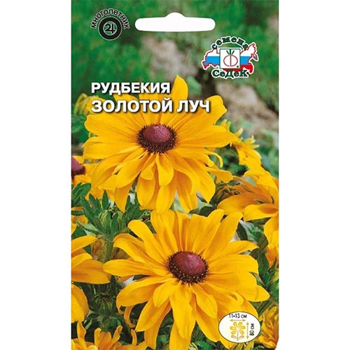 Рудбекия Золотой луч Седек изображение 1 артикул 93966
