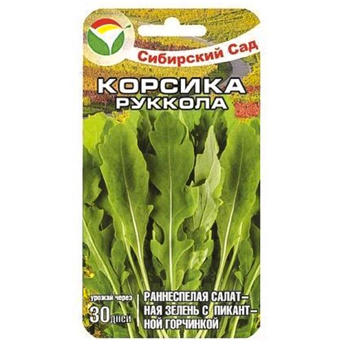 Рукола Корсика Сибирский сад артикул фото 1 Рукола Корсика Сибирский сад изображение 1 артикул 94909