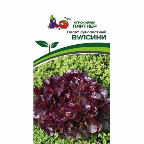 Салат дуболистный Вулсини Партнер изображение 1 артикул 88032