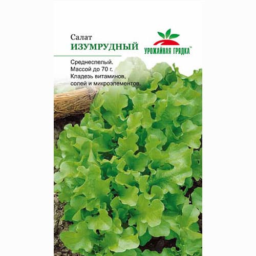 Салат листовой Изумрудный Седек изображение 1 артикул 71672