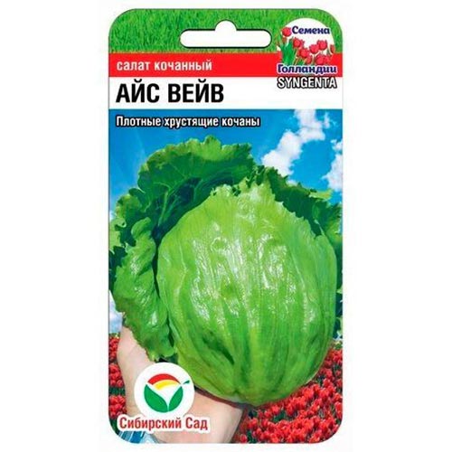 Салат кочанный Айс Вейв Сибирский сад изображение 1 артикул 94382