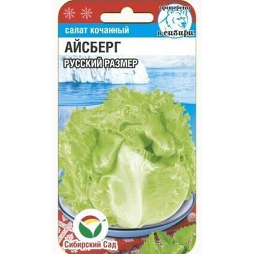 Салат кочанный Айсберг Русский размер Сибирский сад изображение 1 артикул 97144