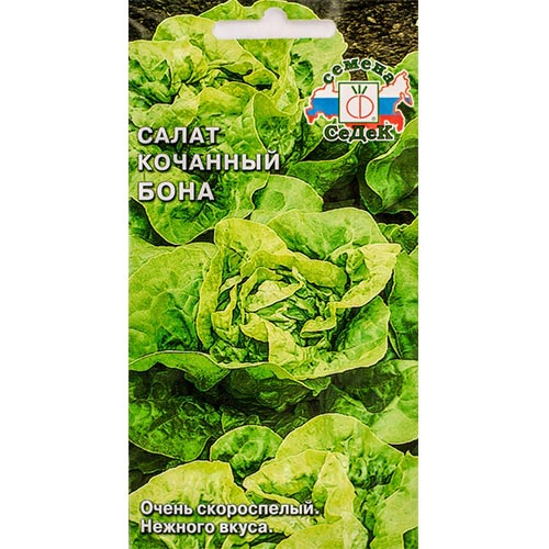 Салат кочанный Бона Седек изображение 1 артикул 93535