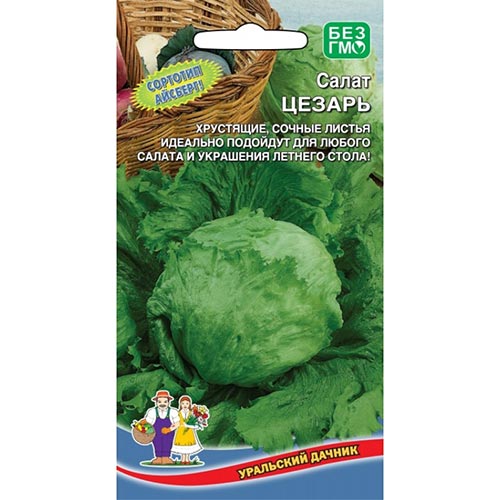 Салат кочанный Цезарь Уральский дачник изображение 1 артикул 94687