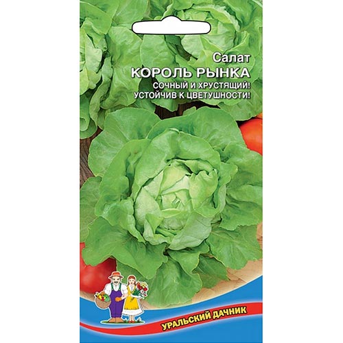 Салат кочанный Король рынка Уральский дачник изображение 1 артикул 94686
