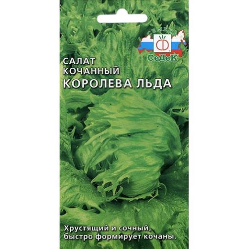 Салат кочанный Королева льда Седек изображение 1 артикул 93537