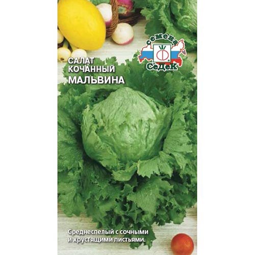 Салат кочанный Мальвина Седек изображение 1 артикул 93539