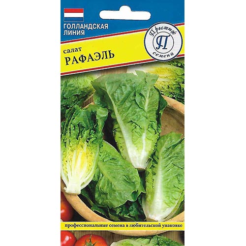 Салат кочанный Рафаэль Престиж изображение 1 артикул 93224
