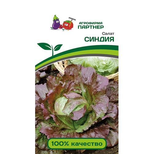 Салат кочанный Синдия Партнер изображение 1 артикул 92683