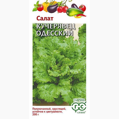 Салат кучерявец Одесский Гавриш изображение 1 артикул 97503