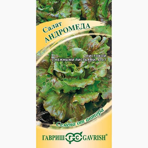 Салат кудрявый Андромеда Гавриш изображение 1 артикул 97498