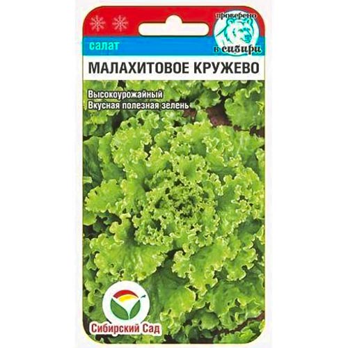 Салат кудрявый Малахитовое кружево Сибирский сад изображение 1 артикул 94386