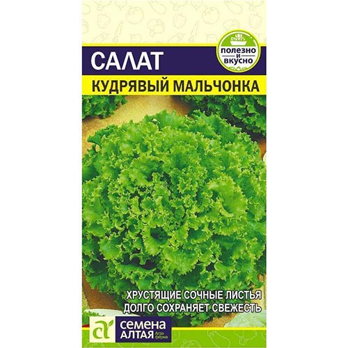 Салат кудрявый Мальчонка Семена Алтая изображение 1 артикул 94079