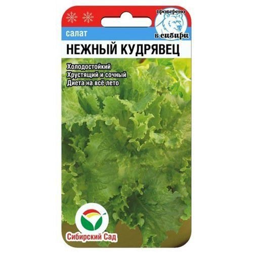 Салат кудрявый Нежный кудрявец Сибирский сад изображение 1 артикул 94387