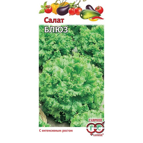 Салат листовой Блюз Гавриш изображение 1 артикул 91826