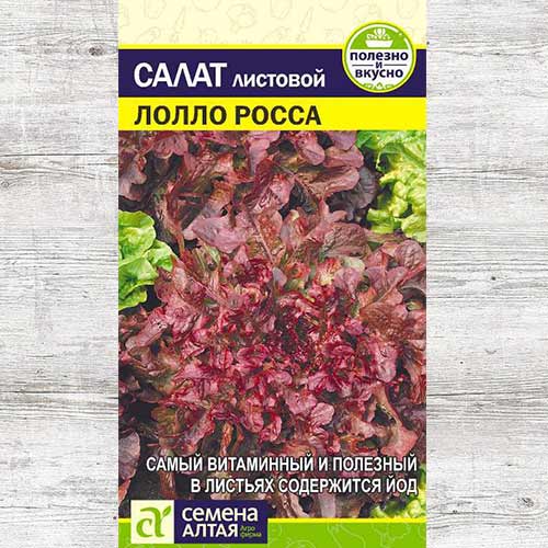 Салат листовой Лолло Росса артикул фото 1 Салат листовой Лолло Росса изображение 1 артикул 81563