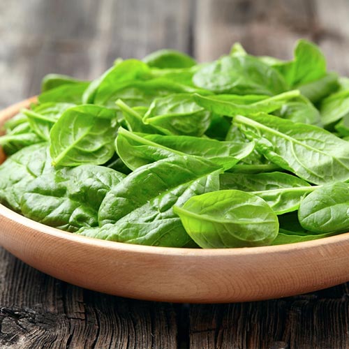 Салат листовой Русский деликатес Уральский дачник изображение 1 артикул 74234