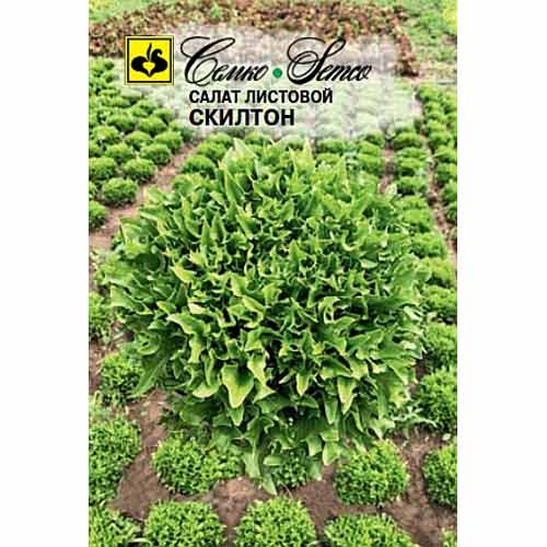 Салат листовой Скилтон Семко изображение 1 артикул 94107